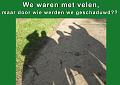 MG Herfstwandeling (32)